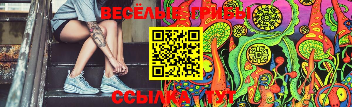 Псилоцибиновые грибы GOLDEN TEACHER Протвино
