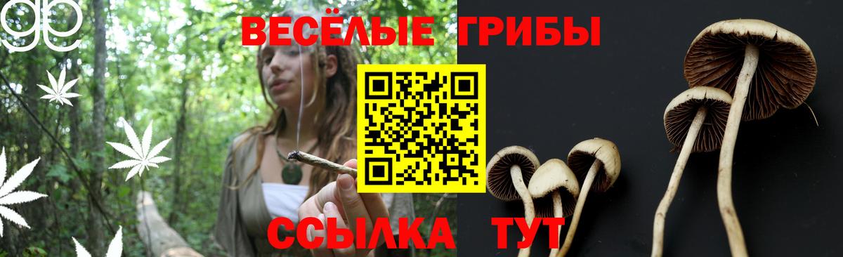 Псилоцибиновые грибы Cubensis  Вход с VPN  Протвино 